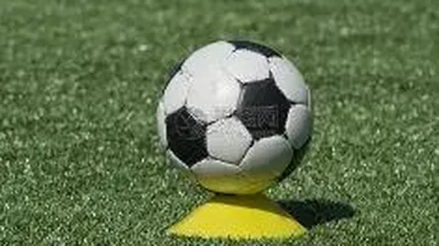 中国大学生篮球甲级联赛激情再起